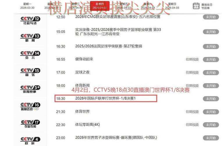 世界杯竞猜网站精选：聚焦访问方式与赛事直播体验 - 世界杯直播